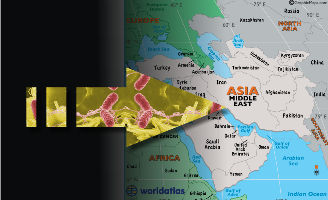 Salmonella Common in the Middle East and North Africa (MENA) region food products